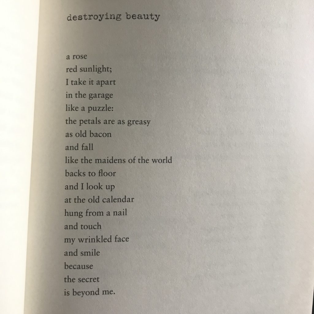 text of "destroying beauty"